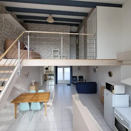 Maison De La Sau Holiday home *